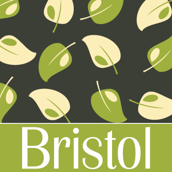 Bristol+Pro